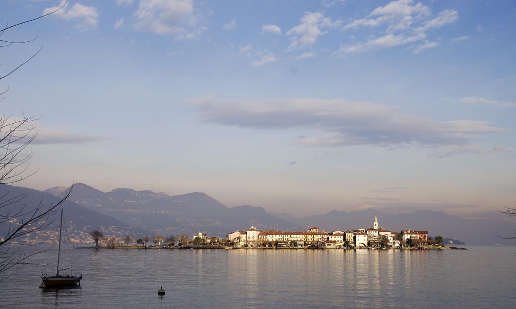 Vignolo