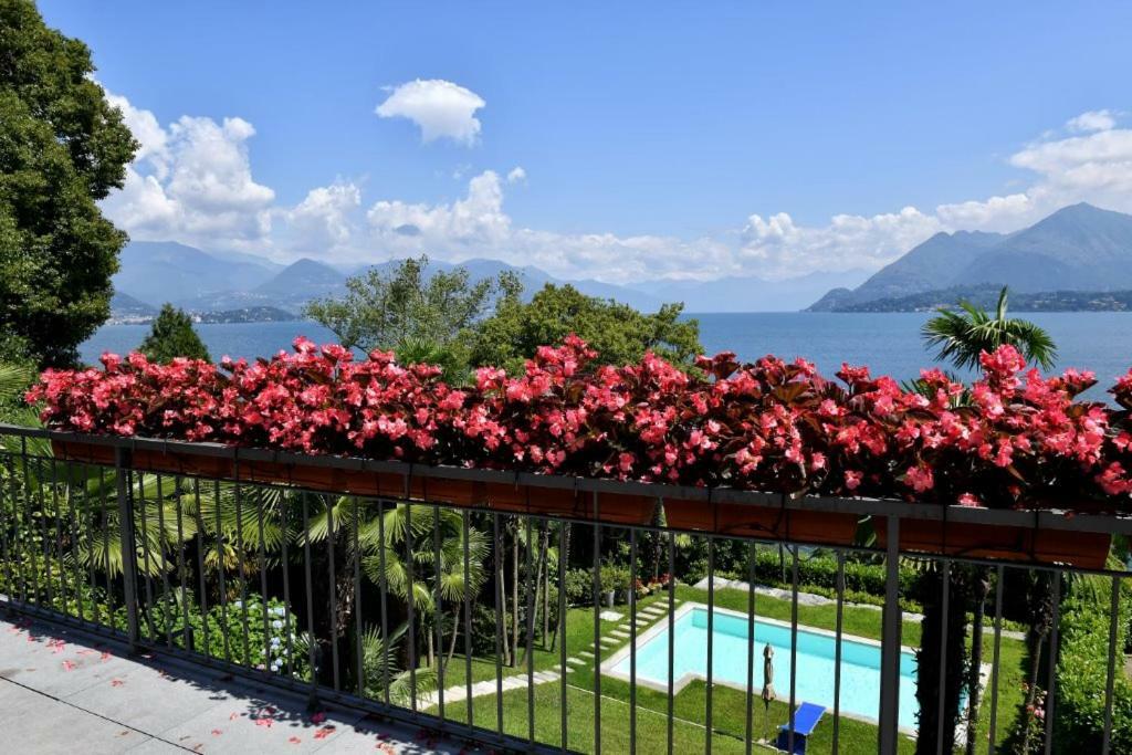 Apartment Vignolo Stresa